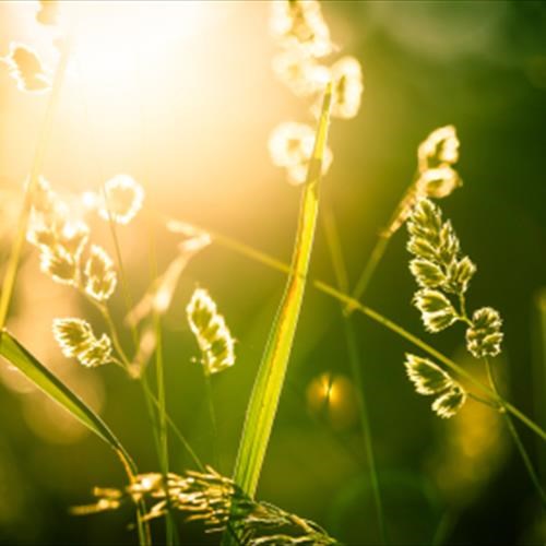 Soul Enlightment Soul Enlightment